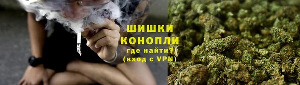 дмт Козловка