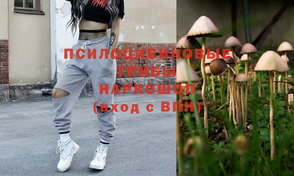 дмт Козловка
