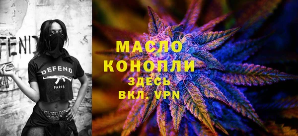 дмт Козловка