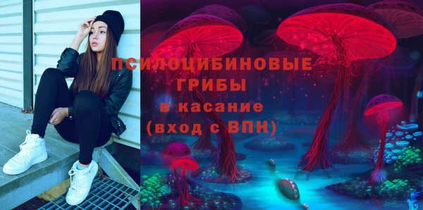 дмт Козловка